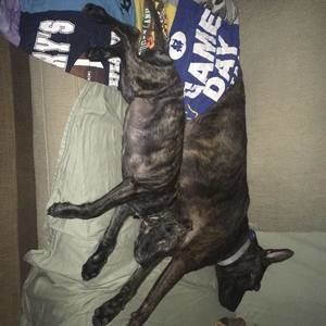 Meet your Posher, Jonathan